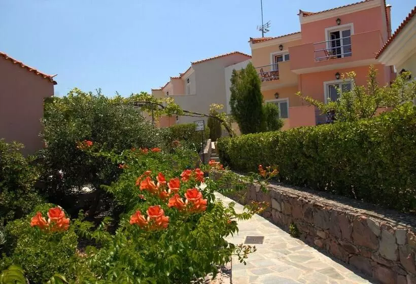 호텔 Sunrise Resort