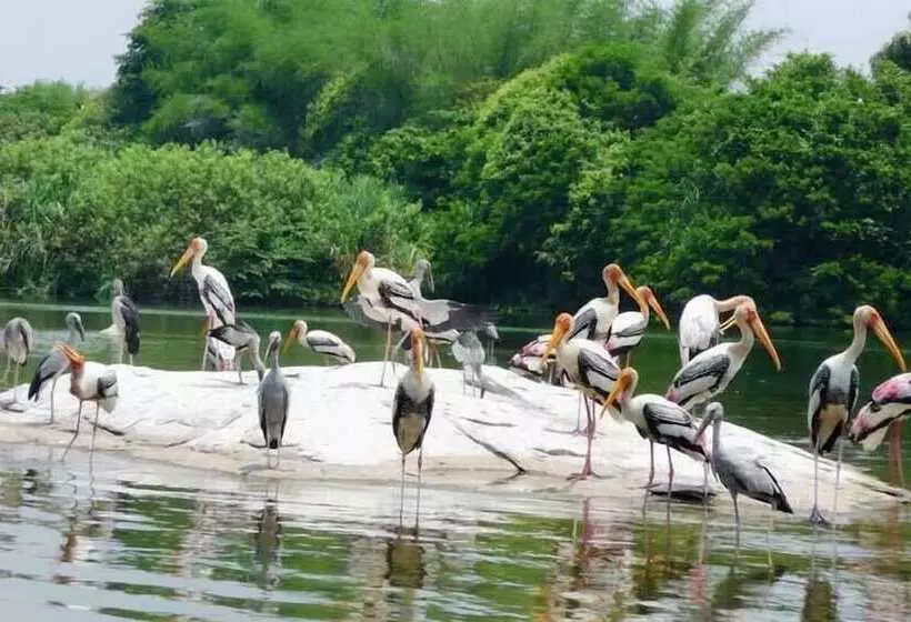 Отель The Zuri Kumarakom  Kerala Resort & Spa