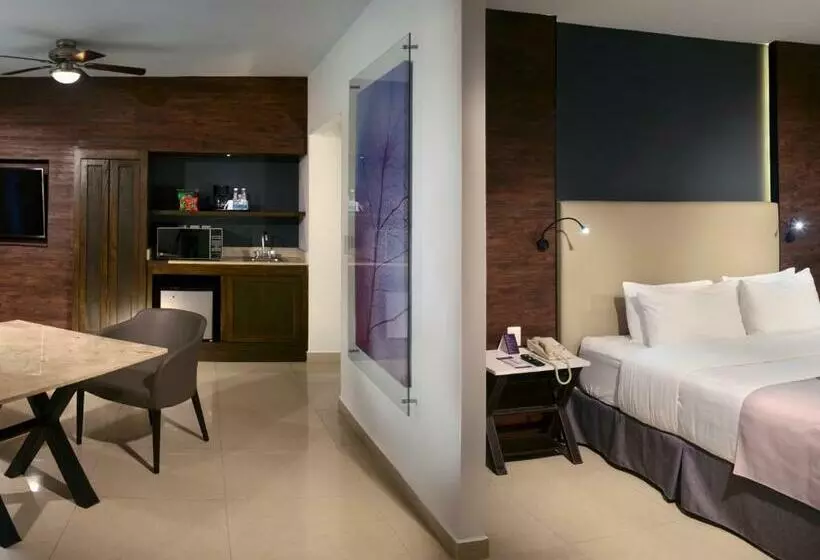 Hs Hotsson Smart Leon Centro Max