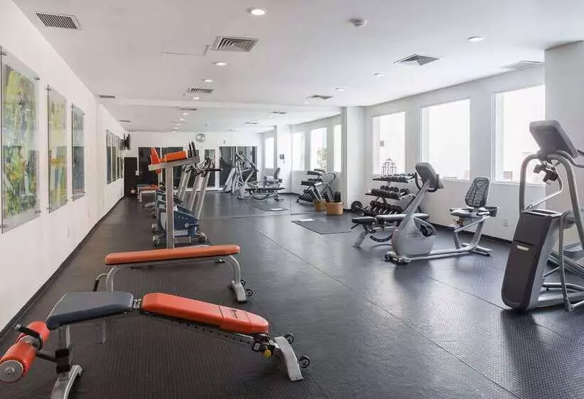 Hs Hotsson Smart Leon Centro Max