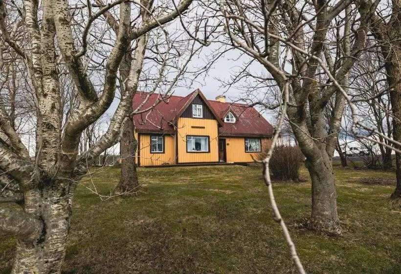 پانسیون Heidi Guesthouse