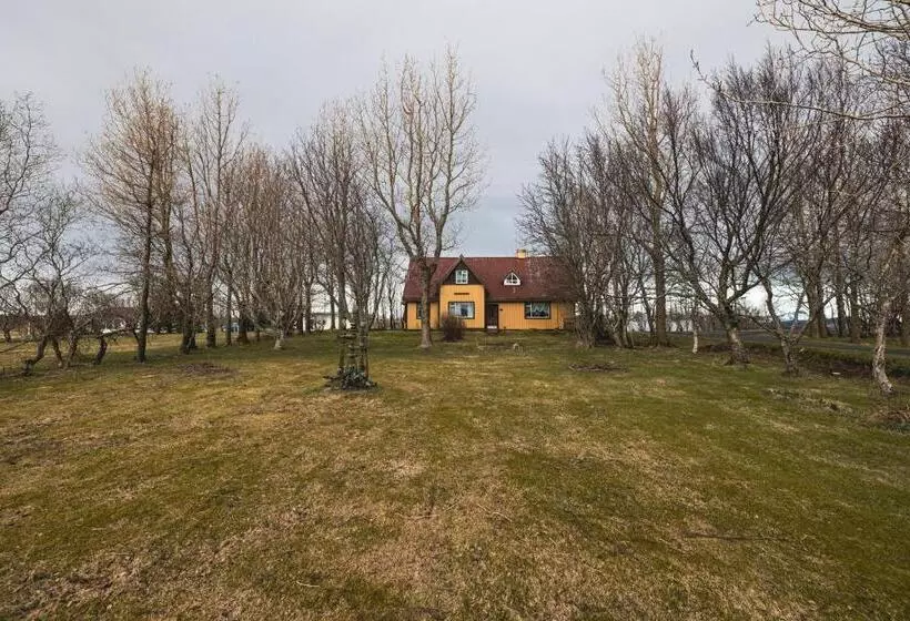 پانسیون Heidi Guesthouse