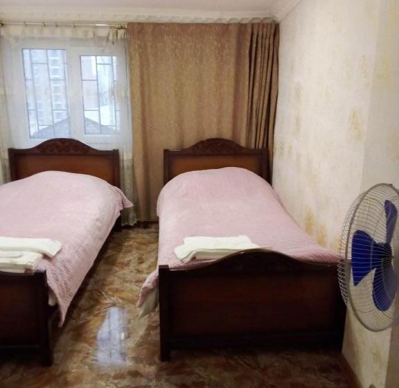 تختخواب و صبحانه 333