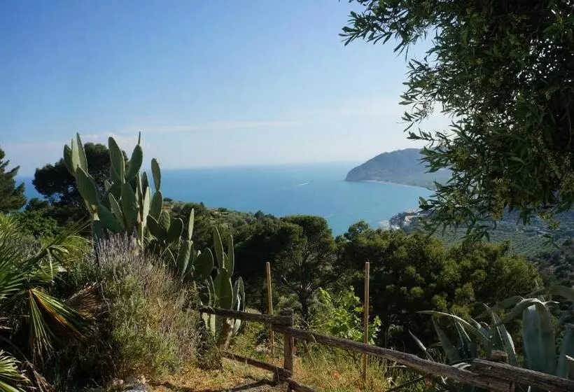 Aamiaismajoitus (B&B) Casa Junno