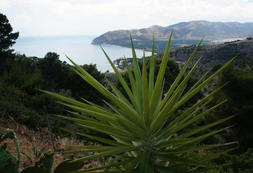 Nocleg ze śniadaniem Casa Junno