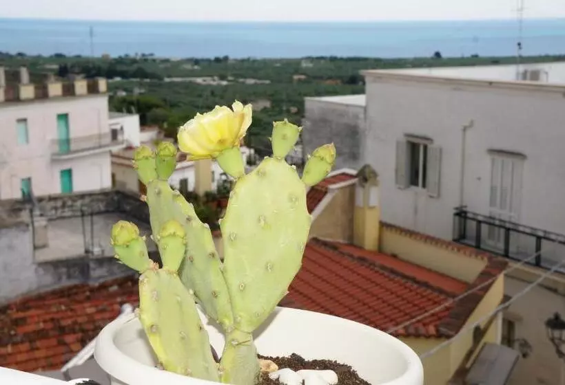 Aamiaismajoitus (B&B) Casa Junno