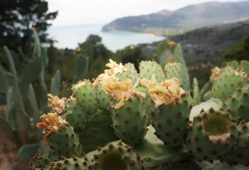 Aamiaismajoitus (B&B) Casa Junno