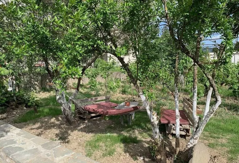 ペンション Guesthouse Shtëpia Ime