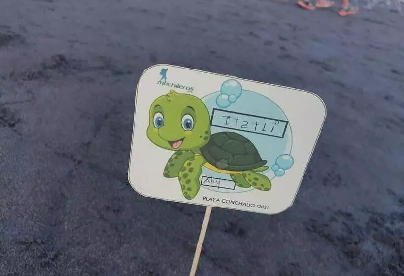 پانسیون Hostal Club Mochilero