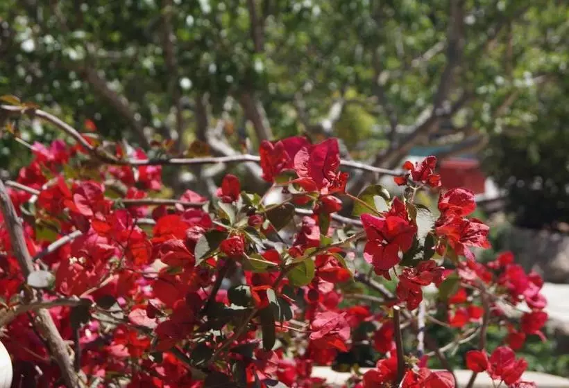 پانسیون Les Jardins De Santa Giulia   Charmante Chambre D Hôte
