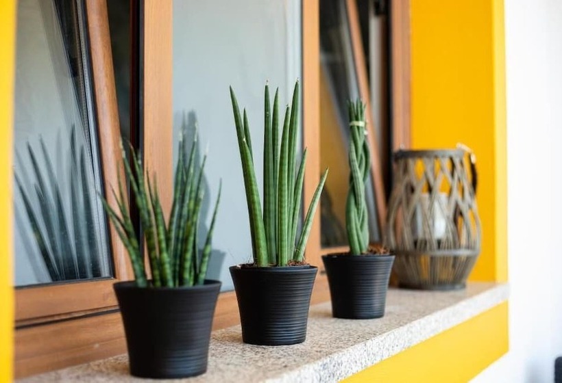 تختخواب و صبحانه Porto D Abrigo Alojamento Local