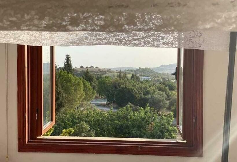 Bed and Breakfast Spring Of Life Forever