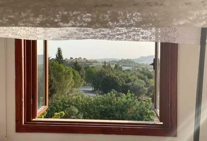 ベッドアンドブレックファースト Spring Of Life Forever