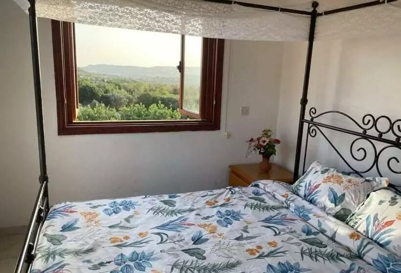 ベッドアンドブレックファースト Spring Of Life Forever