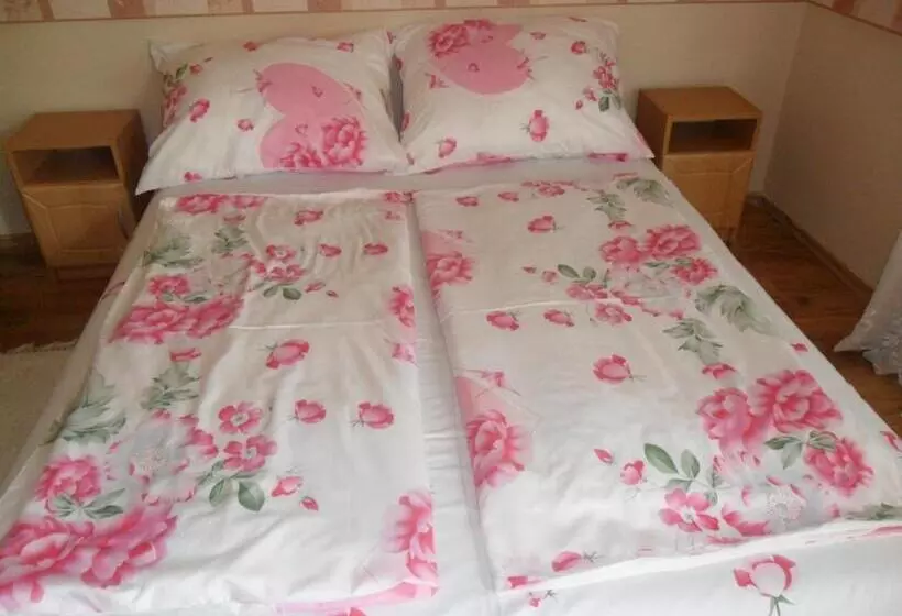 پانسیون Emese Apartman