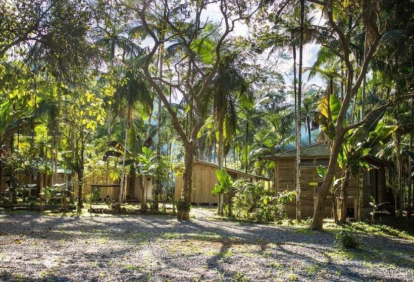 ペンション Pousada E Camping Rupestre