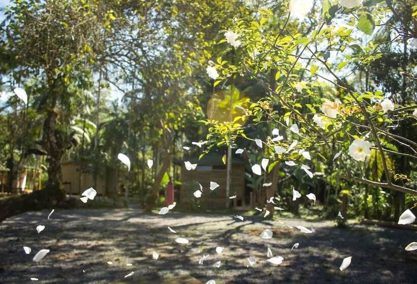 ペンション Pousada E Camping Rupestre