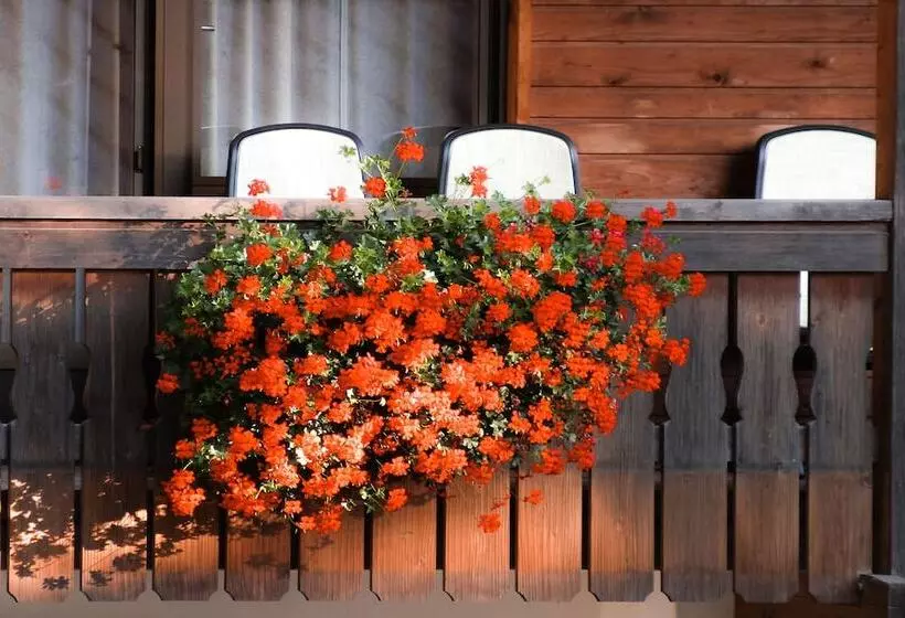 فندق Adler Carezza