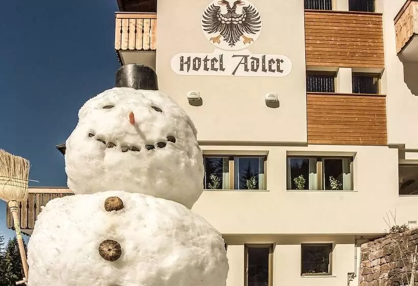 فندق Adler Carezza