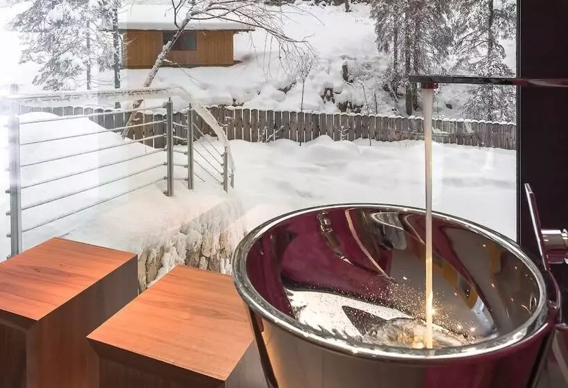 فندق Adler Carezza