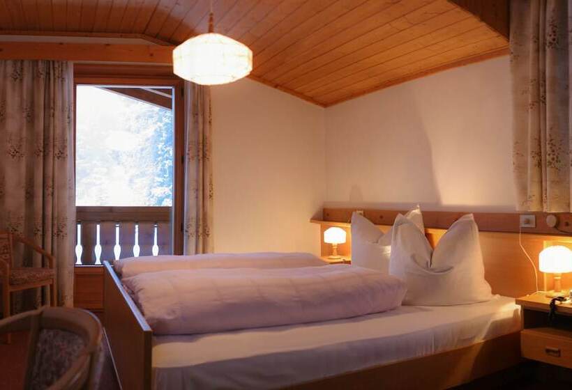 酒店 Adler Carezza