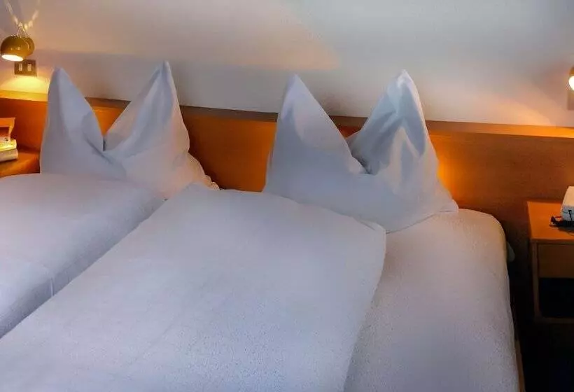 فندق Adler Carezza