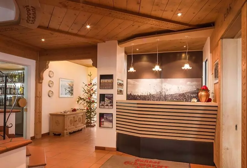 فندق Adler Carezza