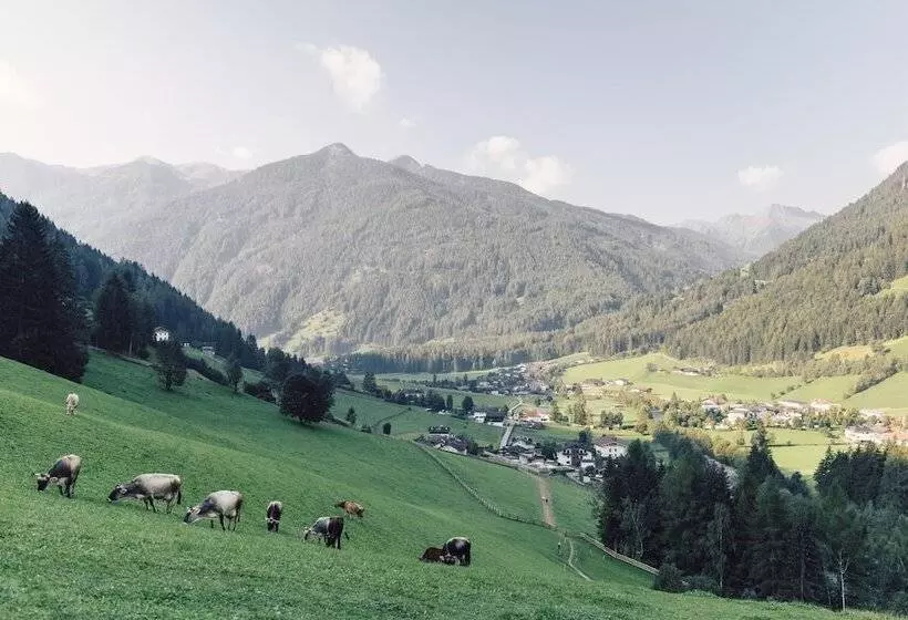 Отель Alpenpalace Luxury Hideaway & Spa Retreat