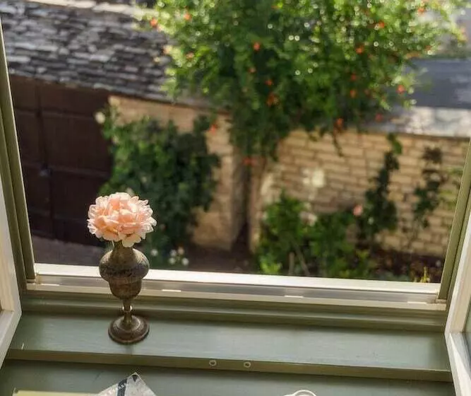 בית מלון כפרי Ameliko Zagori