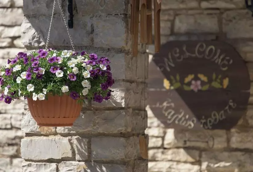 בית מלון כפרי Ameliko Zagori