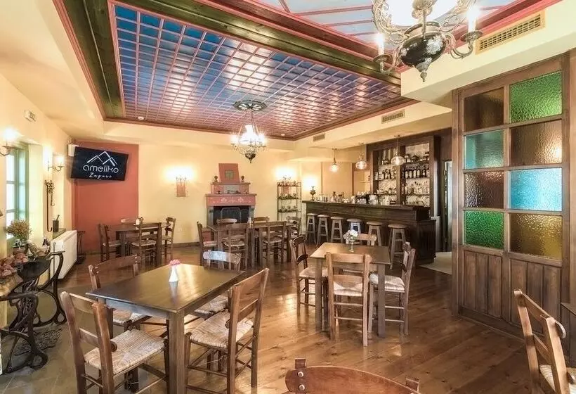 בית מלון כפרי Ameliko Zagori