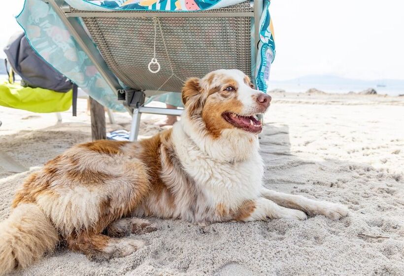 בית מלון כפרי Gitavillage Talamone