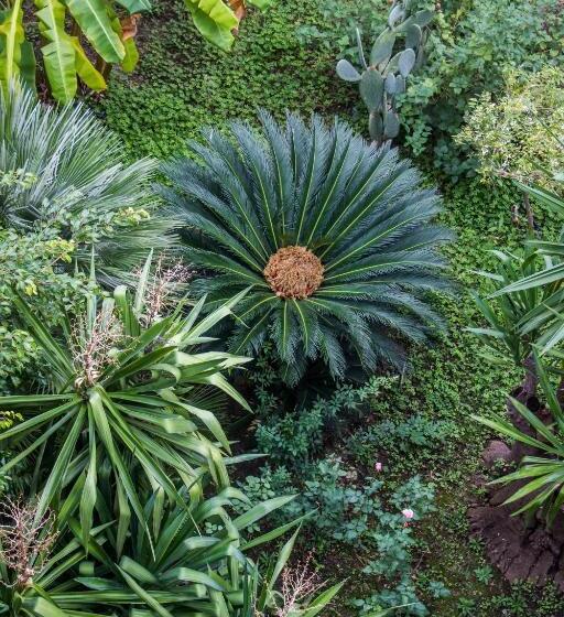 فندق La Piramide