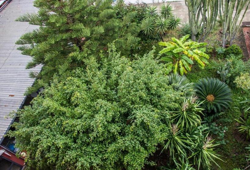 فندق La Piramide