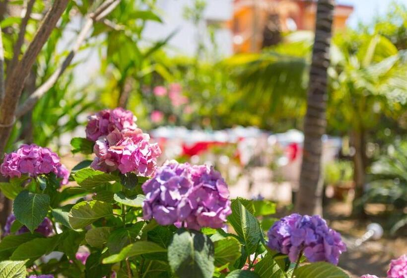 فندق La Piramide