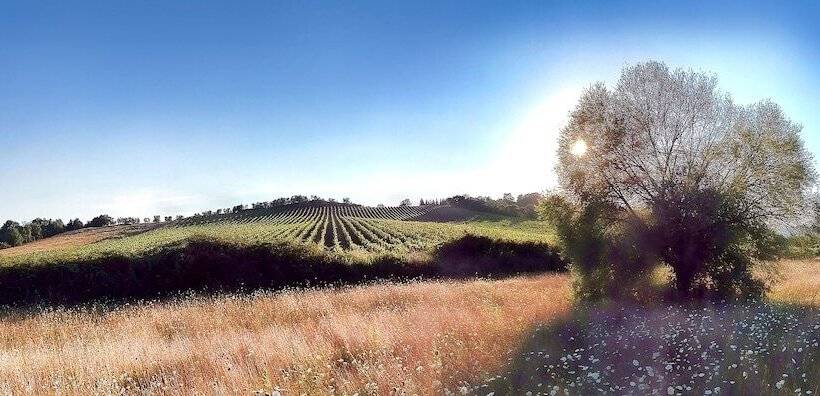 酒店 Montebelli Agriturismo & Country