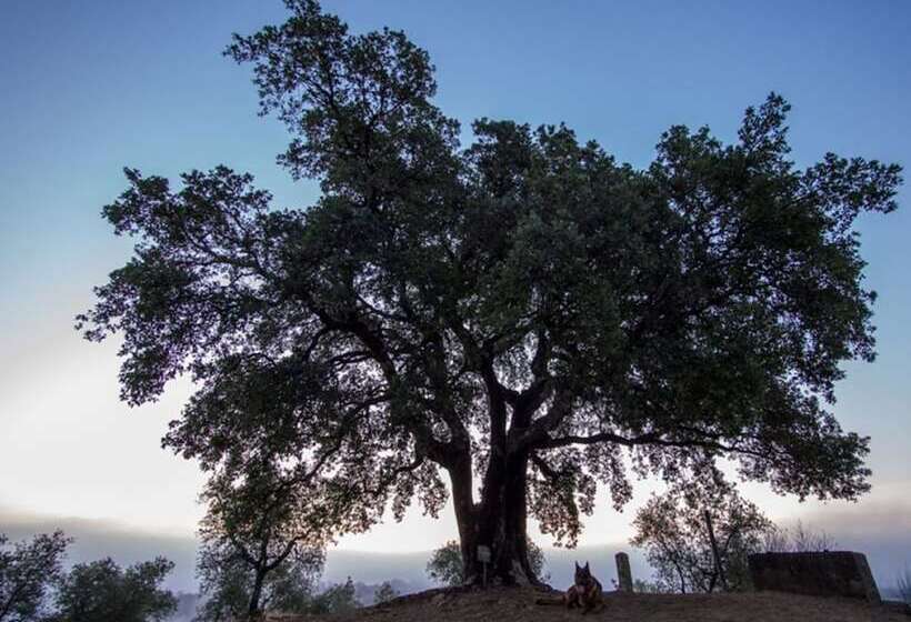 酒店 Montebelli Agriturismo & Country