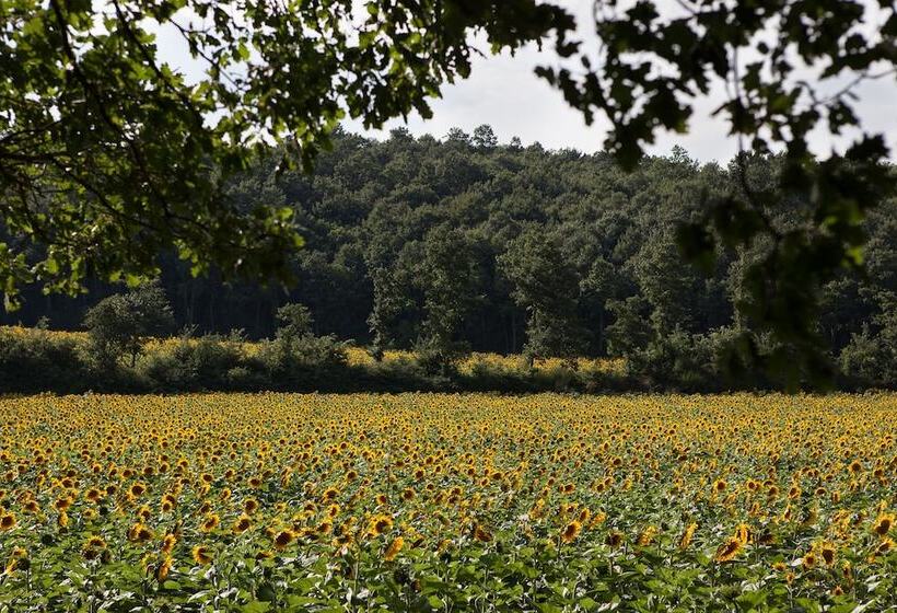 酒店 Tenuta Castelverde