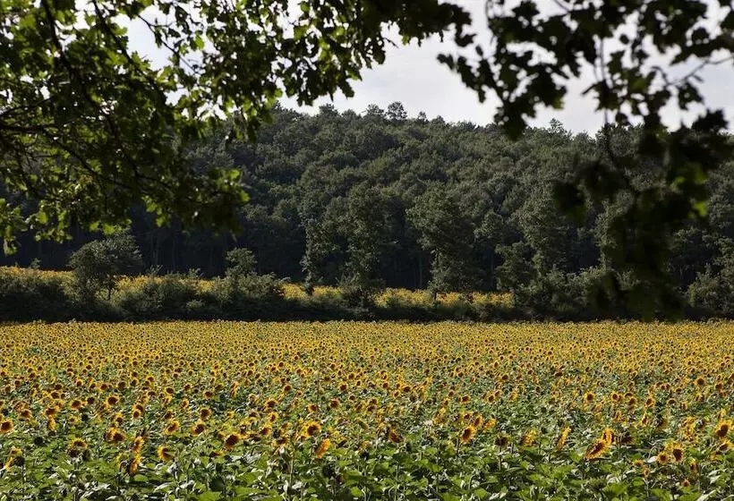 Отель Tenuta Castelverde