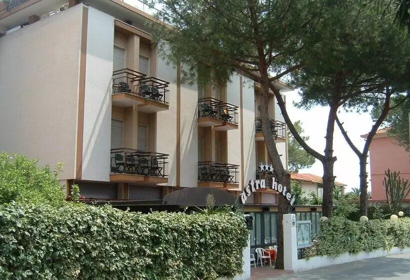 Otel Astra