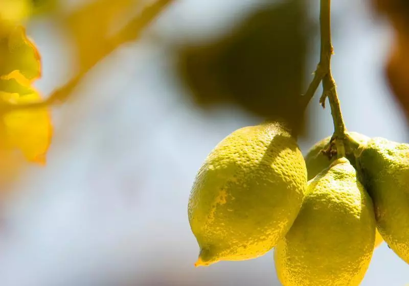 هتل Taormina Panoramic