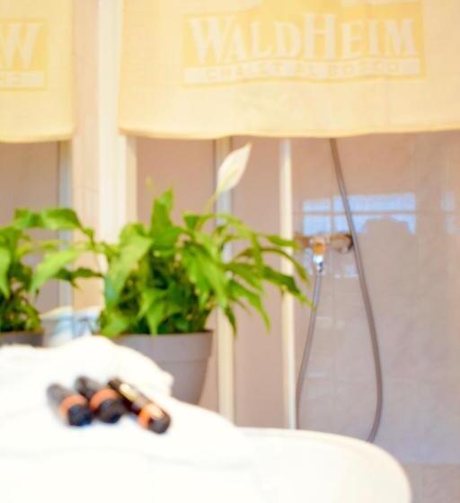 Hotel Waldheim
