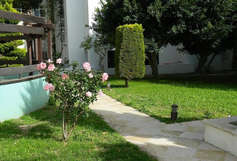 Yelken Mandalinci Spa & Wellness Hotel   All Inclusive