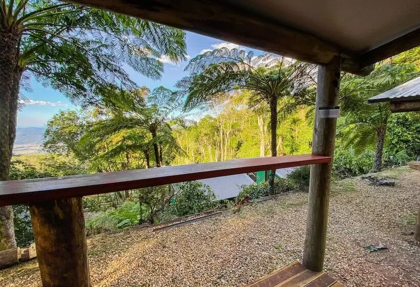 ホテル Binna Burra Rainforest Campsite