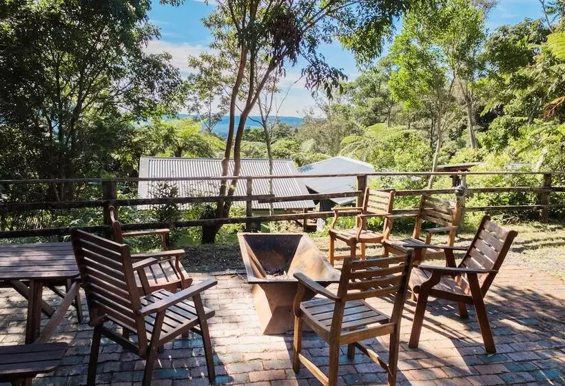 ホテル Binna Burra Rainforest Campsite