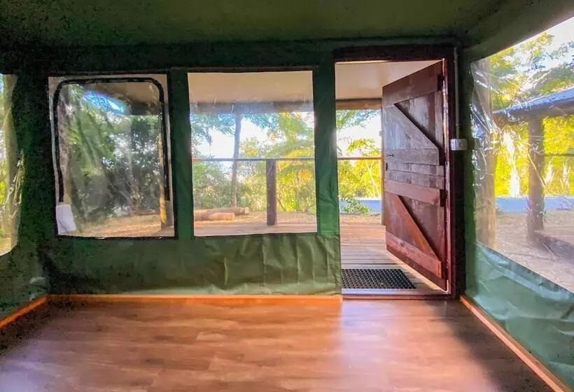 ホテル Binna Burra Rainforest Campsite