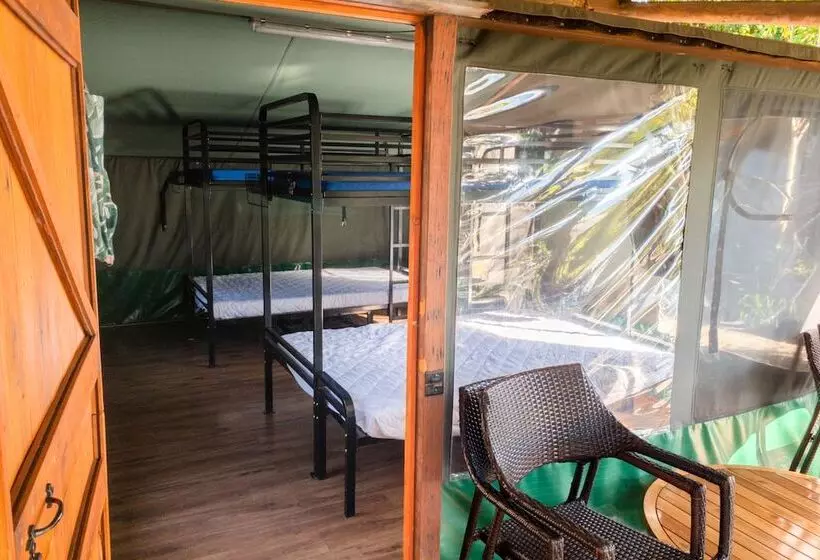 ホテル Binna Burra Rainforest Campsite