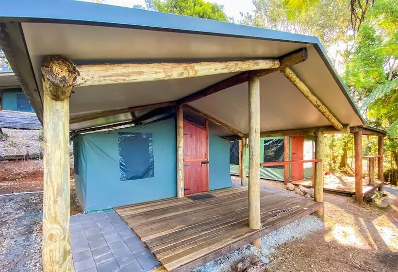 ホテル Binna Burra Rainforest Campsite