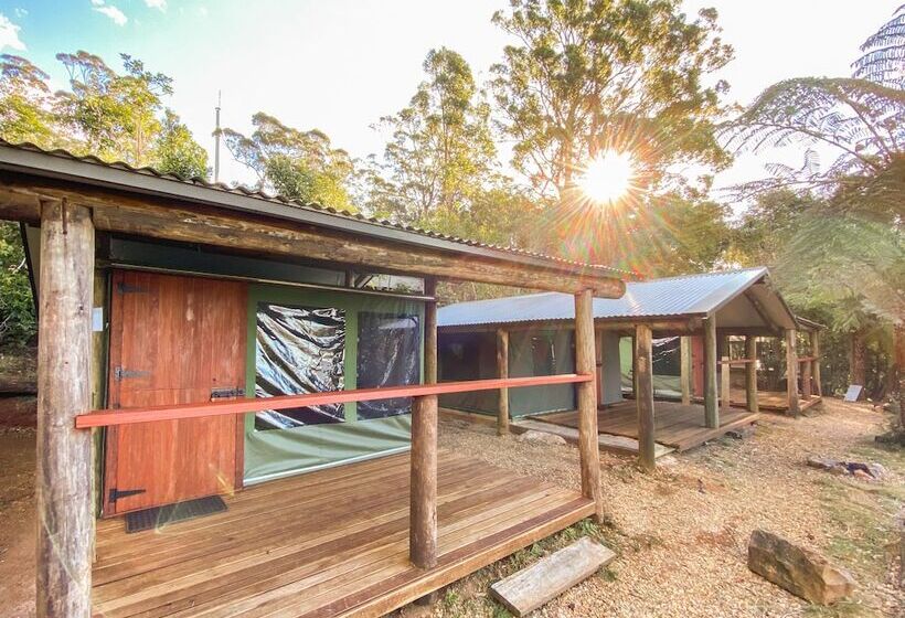 酒店 Binna Burra Rainforest Campsite