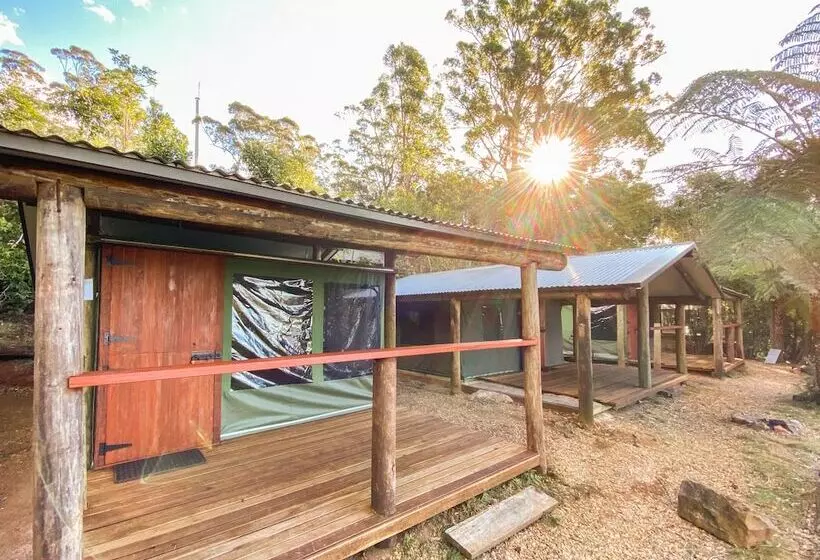 ホテル Binna Burra Rainforest Campsite